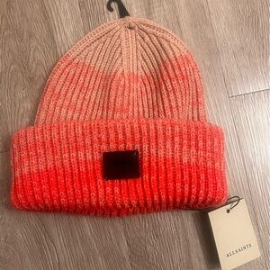 NWT!! All Saints Ombré Pink Beanie